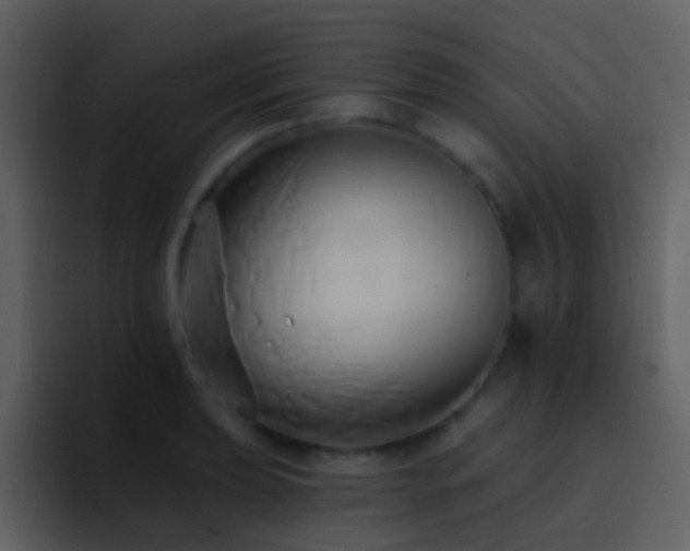 X0000095681039200801081225