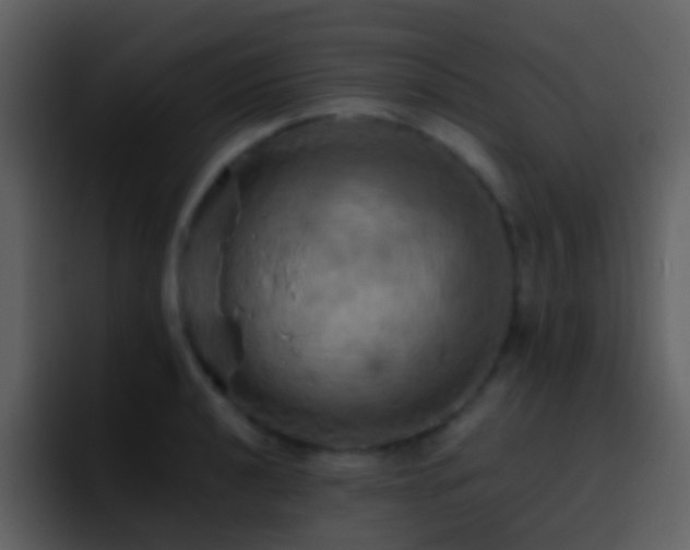 X0000095681040200801081225