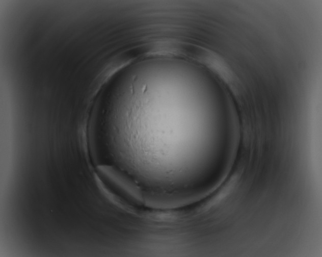 X0000095681041200801081225