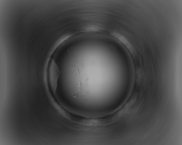 X0000095681042200801081225