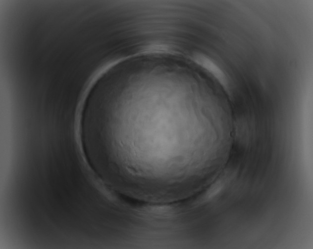 X0000095681043200801081225