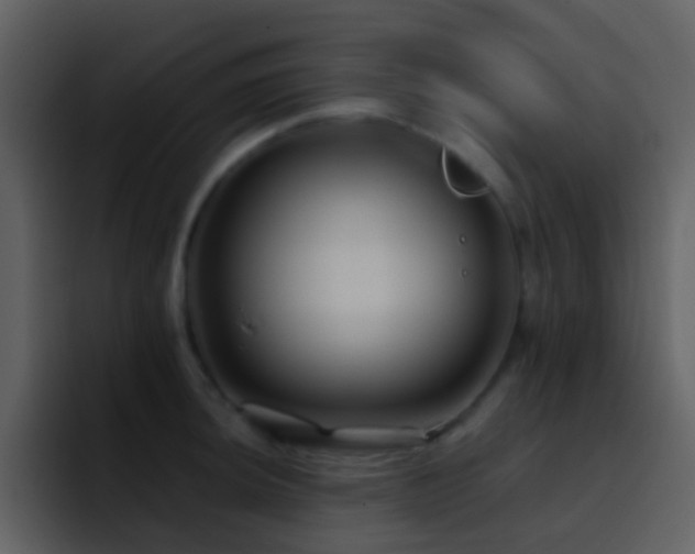 X0000095681044200801081225