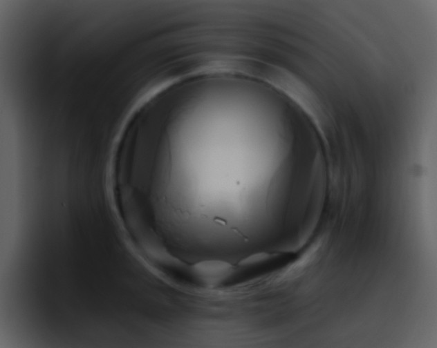 X0000095681045200801081225
