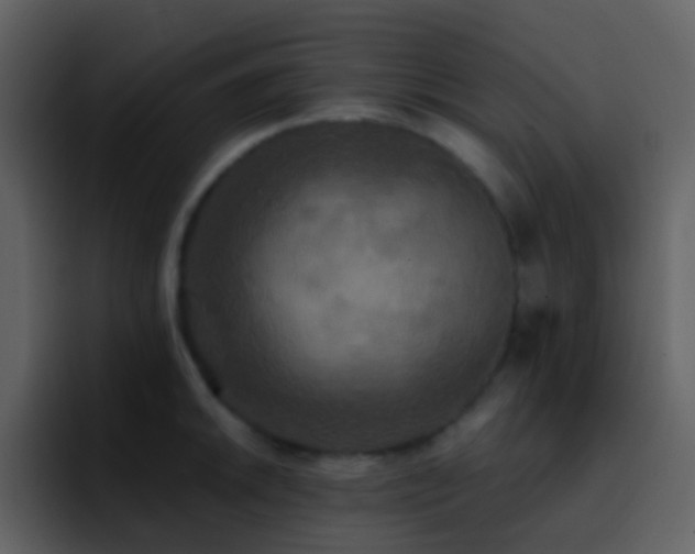 X0000095681046200801081225