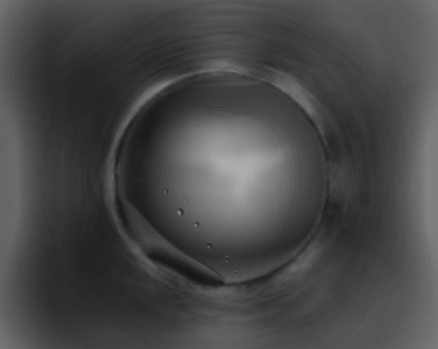 X0000095681048200801081225