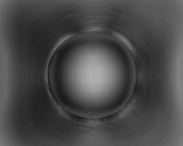 X0000095681050200801081225
