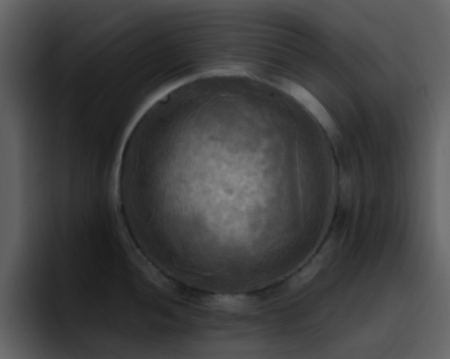 X0000095681052200801081225