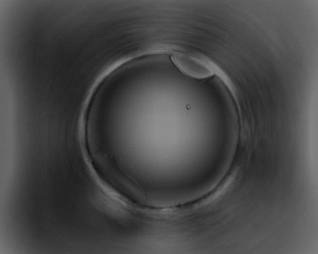 X0000095681053200801081225