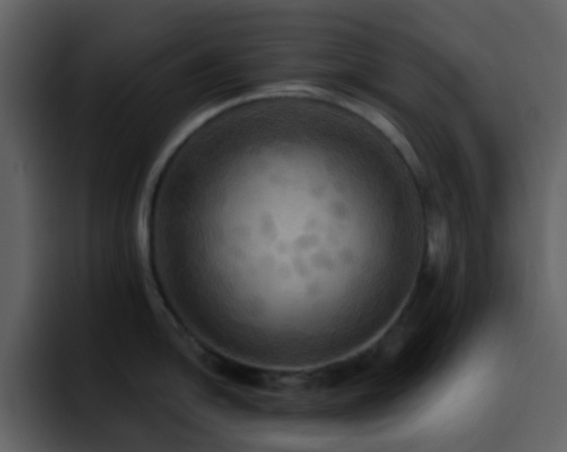X0000095681054200801081225
