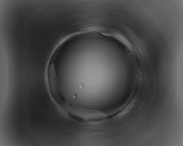 X0000095681055200801081225