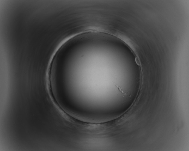 X0000095681056200801081225
