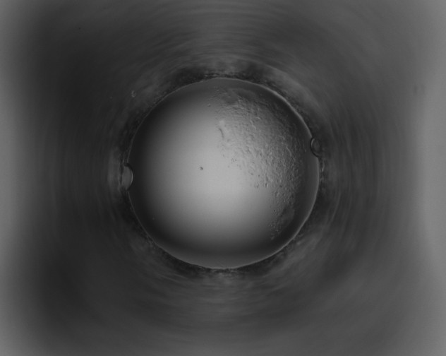 X0000095681058200801081224
