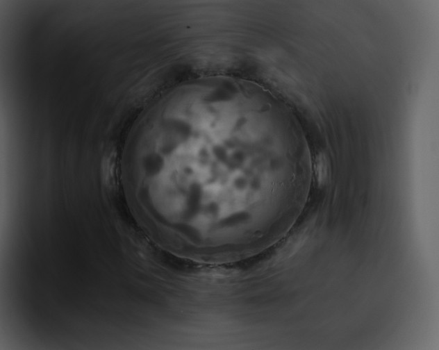 X0000095681059200801081224