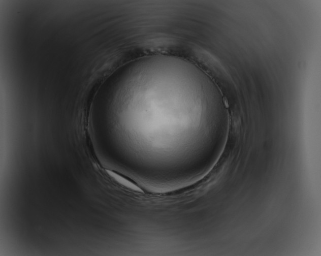X0000095681060200801081224