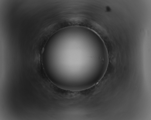X0000095681061200801081224