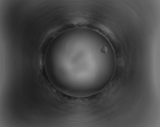 X0000095681063200801081224