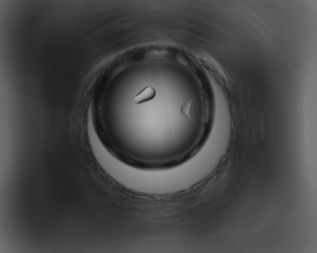 X0000095681064200801081224