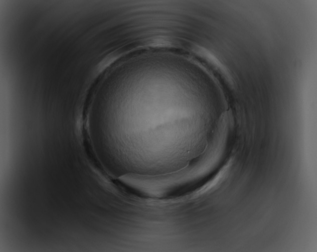 X0000095681065200801081224