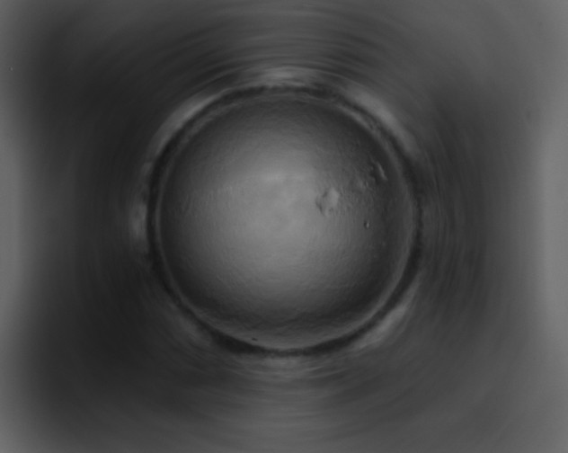 X0000095681066200801081224
