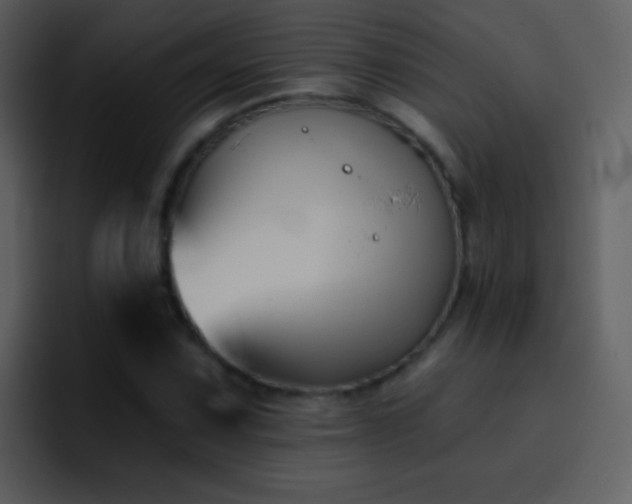 X0000095681067200801081224