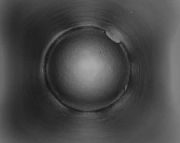 X0000095681068200801081224