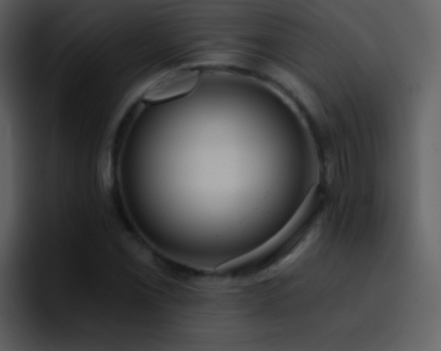 X0000095681069200801081224