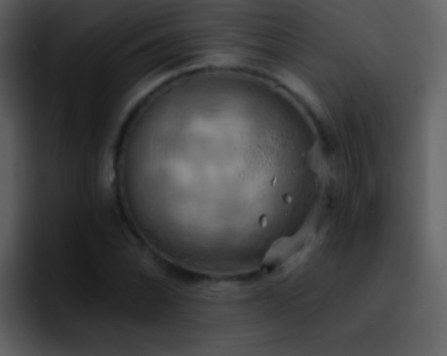 X0000095681070200801081224