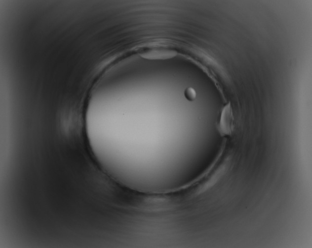 X0000095681073200801081224