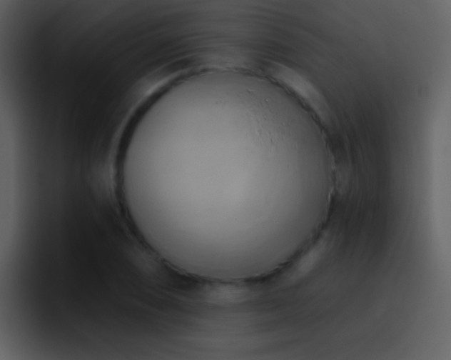 X0000095681074200801081224