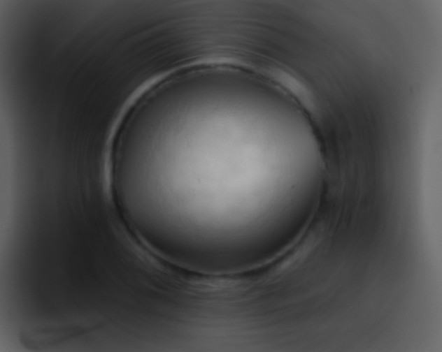 X0000095681076200801081224