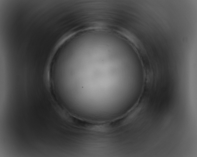 X0000095681078200801081224