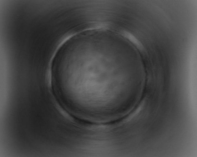 X0000095681079200801081224