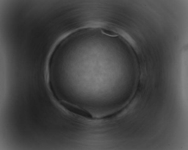 X0000095681080200801081224
