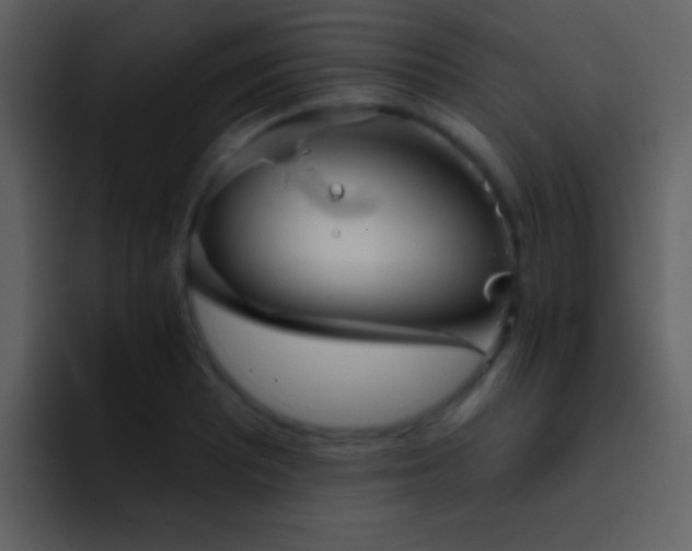 X0000095681081200801081224