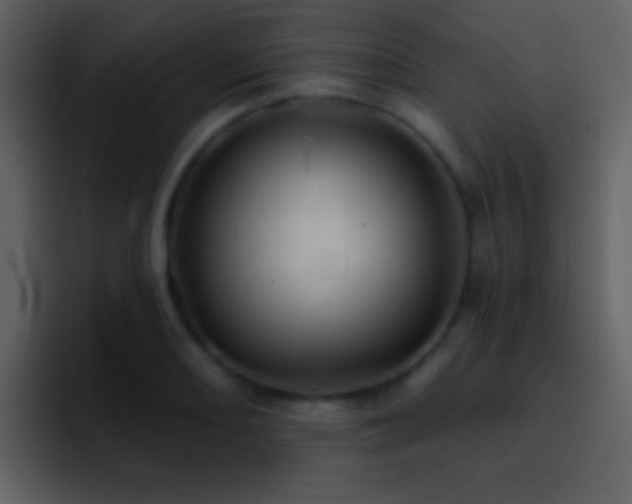 X0000095681082200801081224