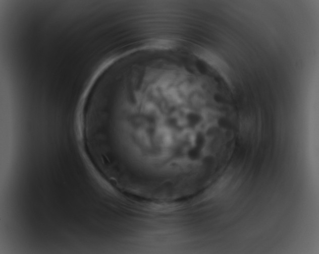 X0000095681083200801081224