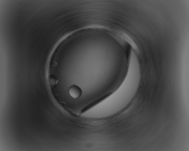 X0000095681084200801081224