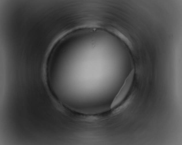 X0000095681085200801081224