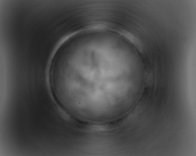 X0000095681086200801081224