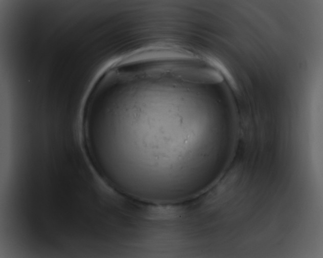 X0000095681087200801081224