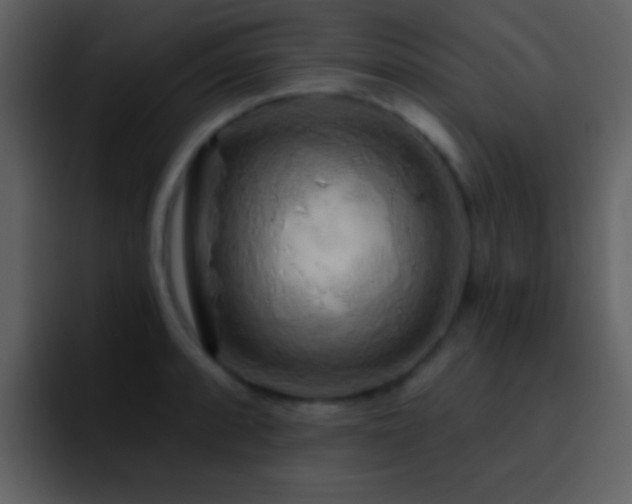X0000095681088200801081224