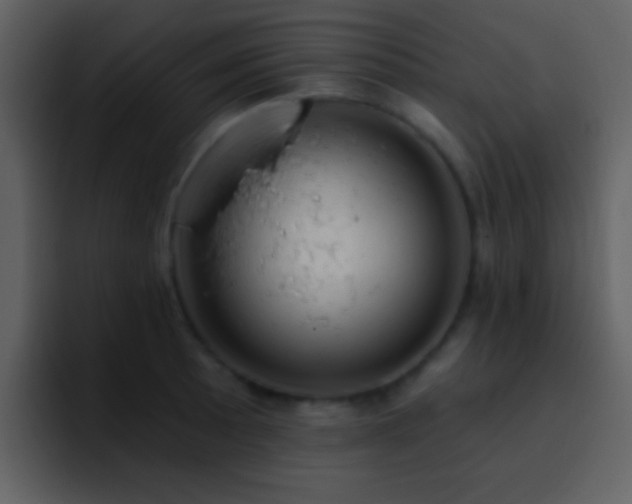 X0000095681089200801081224