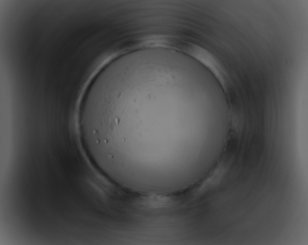 X0000095681090200801081224