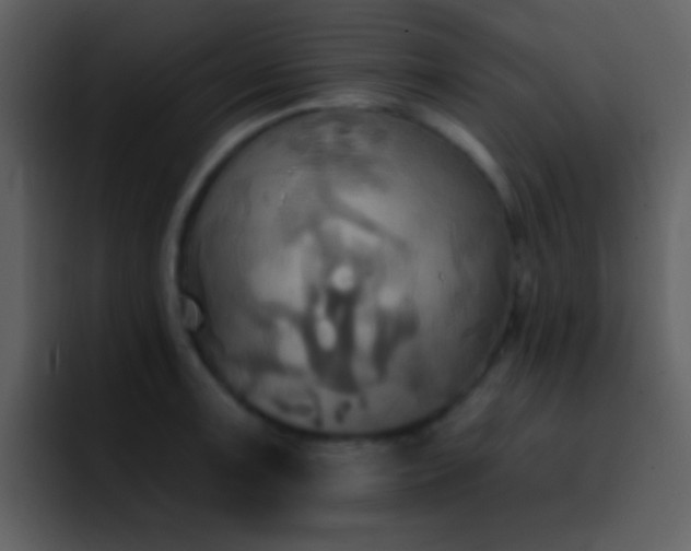 X0000095681091200801081224