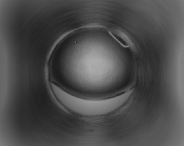 X0000095681092200801081224