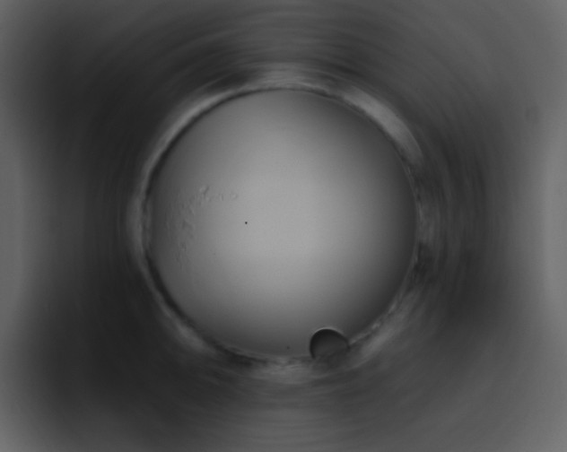 X0000095681094200801081224