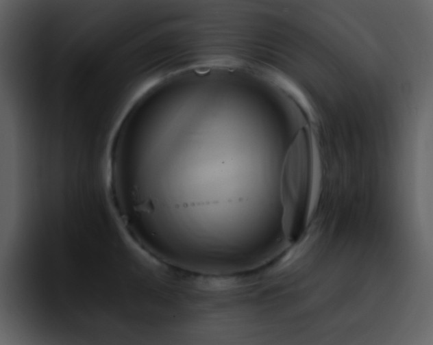 X0000095681095200801081224