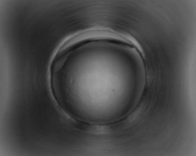 X0000095681096200801081224