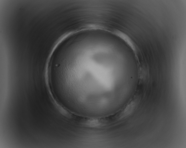 X0000095681098200801081224