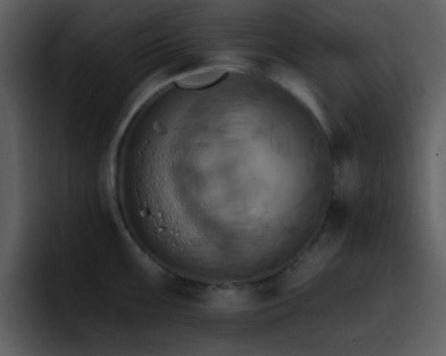 X0000095681099200801081224